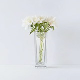 Square Cube Glass Vase 8x8x9cm Home Décor Vases