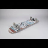 Maple Wood Skateboard Sports & Outdoors Classic Skateboards