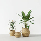 Handmade Rattan Decorative Basket Home Decor Baskets