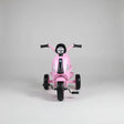 Kids Scooter Tricycle Toys & Kids Push & Pedal Riding Vehicles