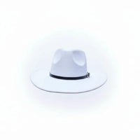 Stylish Western Cowboy Hat Bags & Accessories Cowboy Hats