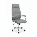 High-Back Ergonomic Office Chair Office Chair Office Chairs