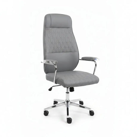 High-Back Ergonomic Office Chair Office Chair Office Chairs
