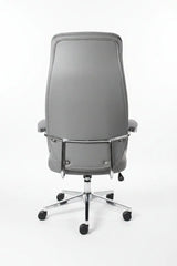 High-Back Ergonomic Office Chair Office Chair Office Chairs