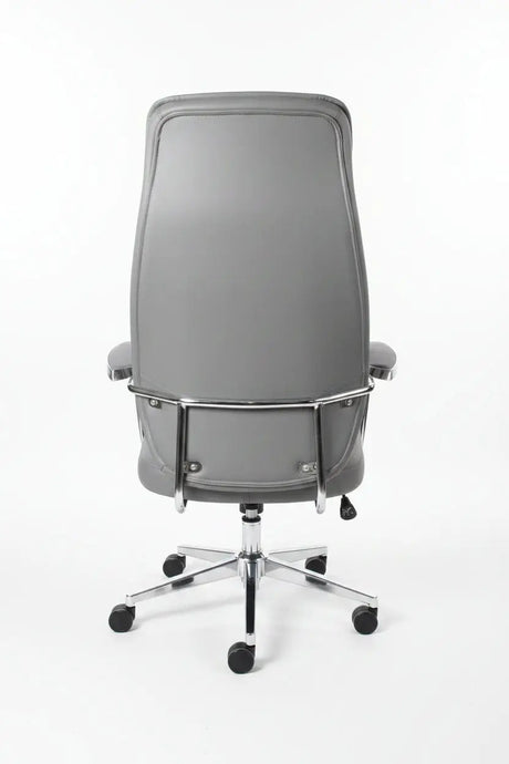 High-Back Ergonomic Office Chair Office Chair Office Chairs