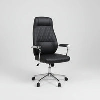 High-Back Ergonomic Office Chair Office Chair Office Chairs