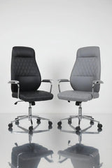 High-Back Ergonomic Office Chair Office Chair Office Chairs