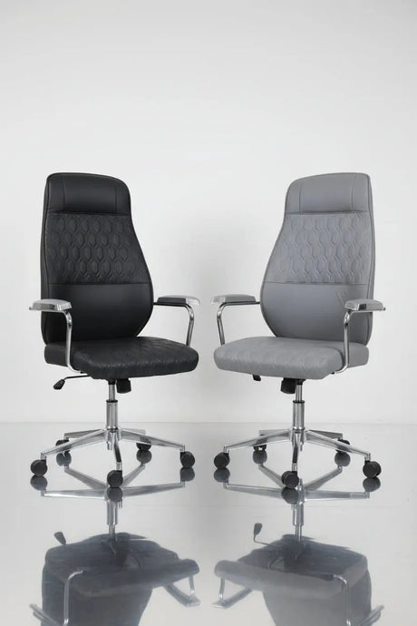 High-Back Ergonomic Office Chair Office Chair Office Chairs