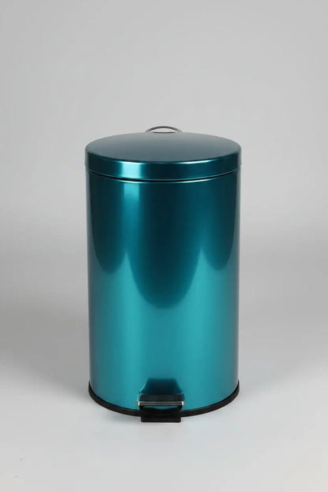 Danny Home Stainless Steel Pedal Dustbin 5L Home & Kitchen Trash Cans