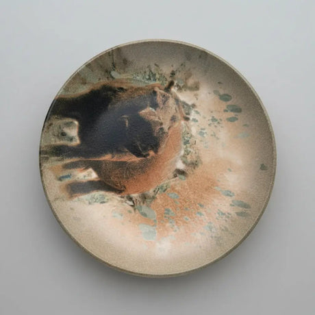 Shokki Shell Plain Plate Plates & Dinnerware Plates