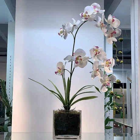Clear Glass Cube Vase Home & Living Vases