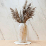 Dried Wild Mini Reed Pampas Bunch of 10 Home Decor Dried Flowers