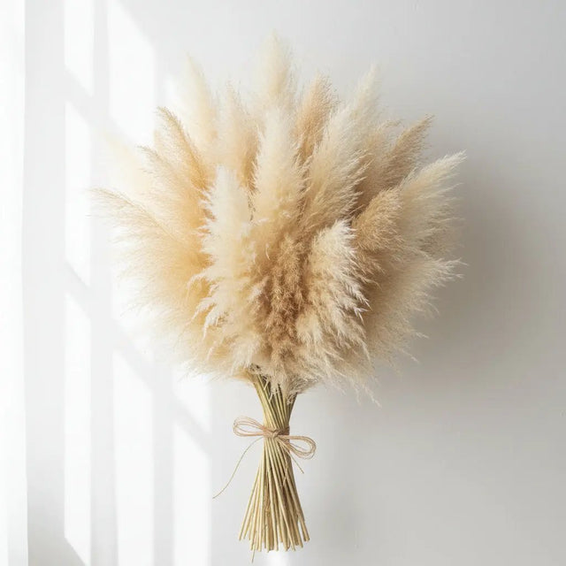 Big Natural Dried Pampas Grass Home Decor Dried Flowers