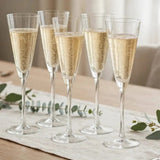 142ml Champagne Glasses Set Of 6 Champagne Glass Set Champagne Glasses