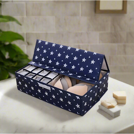 17 Grid Undergarment Organizer 3in1 Closet Organizer with Lid Moisture Proof & Dust Proof- Furaha Finds Kenya
