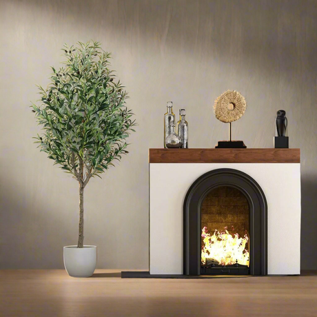Furaha Finds Real Touch Olive Plant with Fruits.