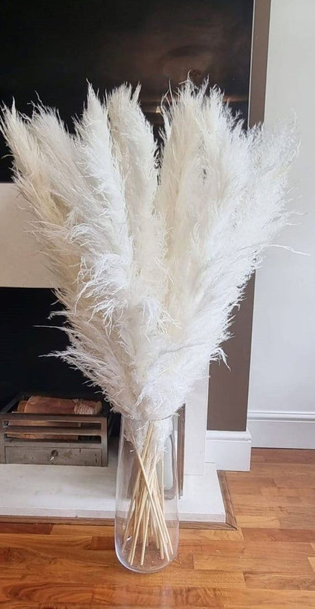 15 Piece Dried Pampas Grass Set 60cm for Elegant Home Styling