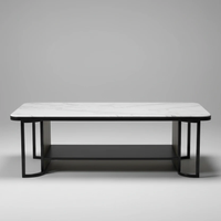 Coffee Table - Modern with White Marble Top & Storage Shelf Furniture Coffee Tables
