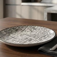 Dinner Plates - 10.5 Inch Crosshatch Pattern 6-Piece Set Kitchen & Dining Plates
