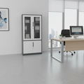 Office Filing Cabinet 2-Door Steel Storage with Glass Upper Doors Lockable Home & Garden File Cabinets