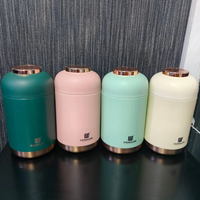 650ml Insulated Lunch Box with Carrying Bag and Rose Gold Lid Kitchen & Dining Lunch Containers
