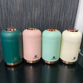 650ml Insulated Lunch Box with Carrying Bag and Rose Gold Lid Kitchen & Dining Lunch Containers