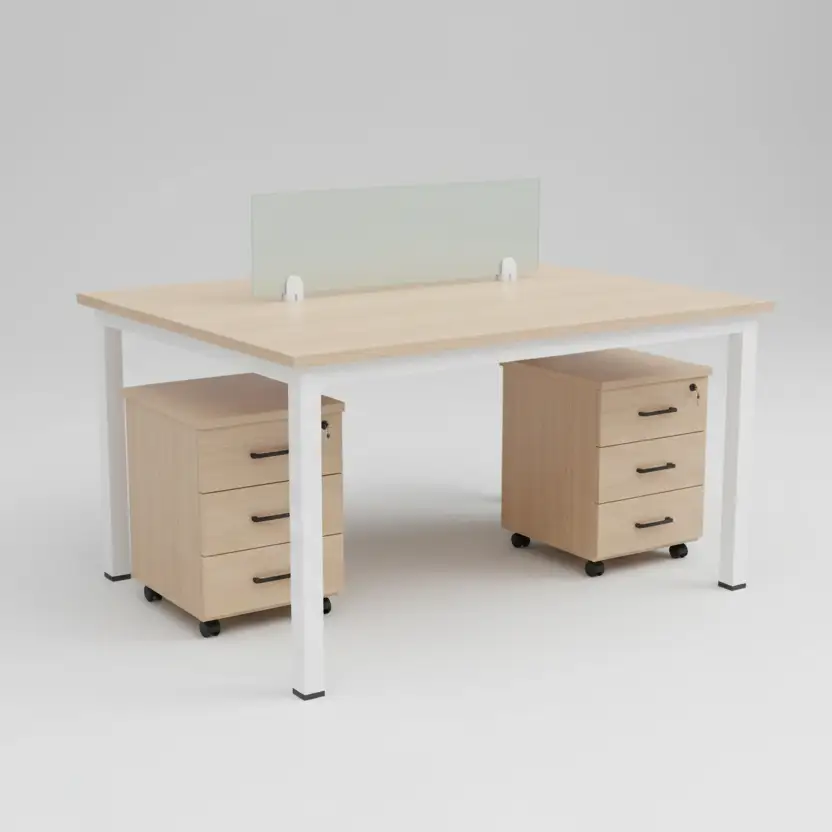 Office Workstation - 2-Person Back-to-Back Desk with Glass Divider Furniture Desks
