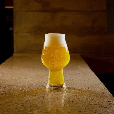 Craft Beer & IPA Tulip Glass Set (6pcs) Kitchenware Beer Glasses
