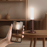 Rechargeable Magnetic Motion Sensor LED Night Light Walnut Wood 4M 120° Hallway Bedroom Stairs Bedside Portable Home & Garden Night Lights & Ambient Lighting