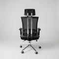 Orthopedic High-Back Mesh Office Chair with Headrest Office Chair Office Chairs