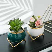 Nordic Ceramic Gold Rim Succulent Pot with Gold Stand White Green 8x7cm Home & Garden Planters