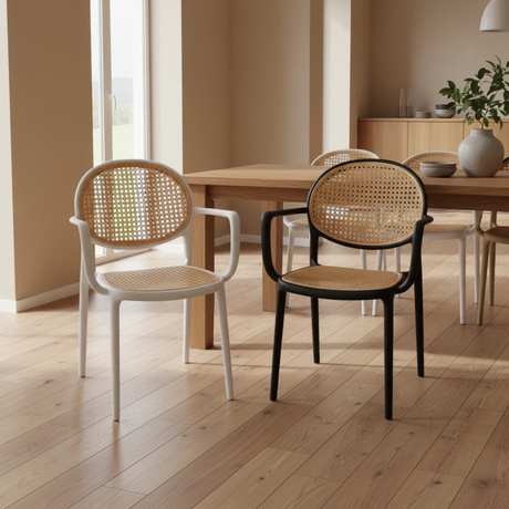 Dining Chair - Modern Rattan dinning chair Furniture Kitchen & Dining Room Chairs