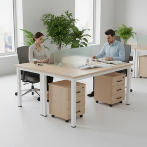 Office Workstation - 2-Person Back-to-Back Desk with Glass Divider Furniture Desks