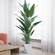 Real Touch Strelitzia Artificial Plant 180cm with White Geometric Pot Home & Garden Artificial Non-Flowering Plants