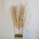 Large Pampas Grass | 1.2m Long Fluffy Natural Dried Pampas Grass for Home and Wedding Decor | Gray