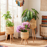 Boho Rattan Plant Stand Set Plant stand Plant Stands
