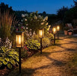Solar Pathway Garden Lights Garden lights Landscape Pathway Lighting
