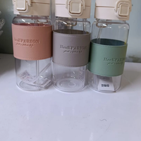 High Quality Acrylic Water Bottle with Straw 500ml Kitchenware Water Bottles