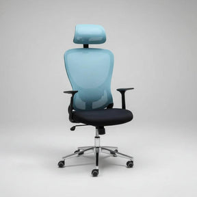 Ergonomic Mesh Office Chair with Adjustable Headrest and Lumbar Support Furniture Office Chairs