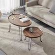 Foldable 2-in-1 Nesting Coffee Table Set Nesting table Nesting Tables