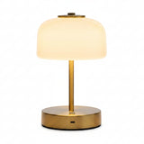 Luxury Cordless LED Lamp Led lamp Lamps