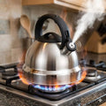 Whistling Kettle 3L Kettle Stovetop Kettles