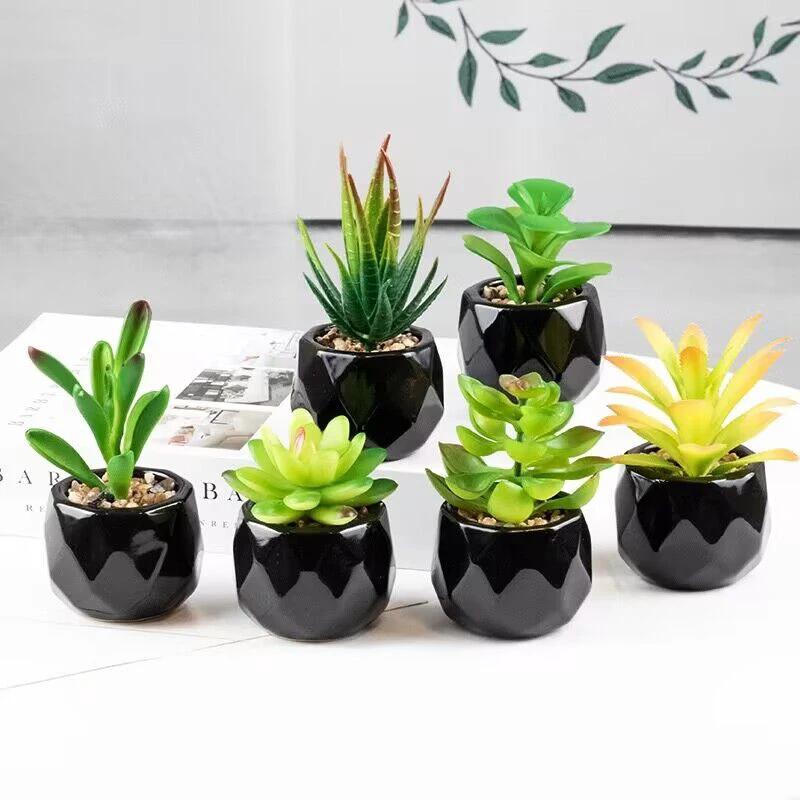 Artificial Succulent Bonsai Plant with Pottery Pot Flower pot