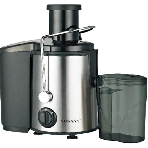 800 Watts Electric Juicer