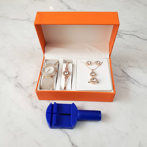 Elegant 6 in 1 Ladies Gift Set Jewelry Sets