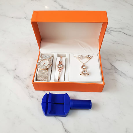 Elegant 6 in 1 Ladies Gift Set Jewelry Sets