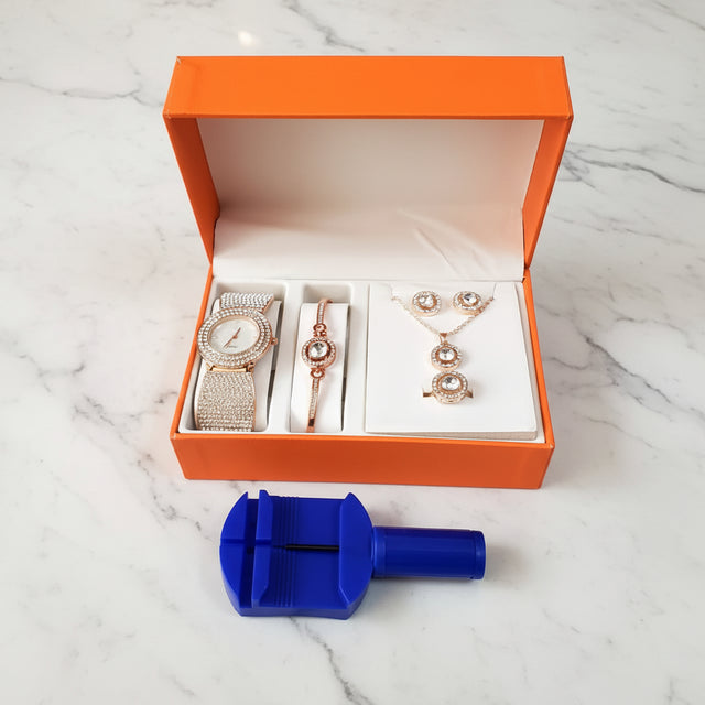 Elegant 6 in 1 Ladies Gift Set Jewelry Sets