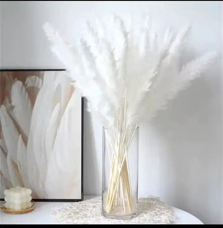 Dried Pampas Grass Set 15 Stems 60cm Decor Dried Flowers