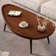Modern Minimalist Oval Coffee Table Coffee Table Coffee Tables