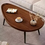 Modern Minimalist Oval Coffee Table Coffee Table Coffee Tables